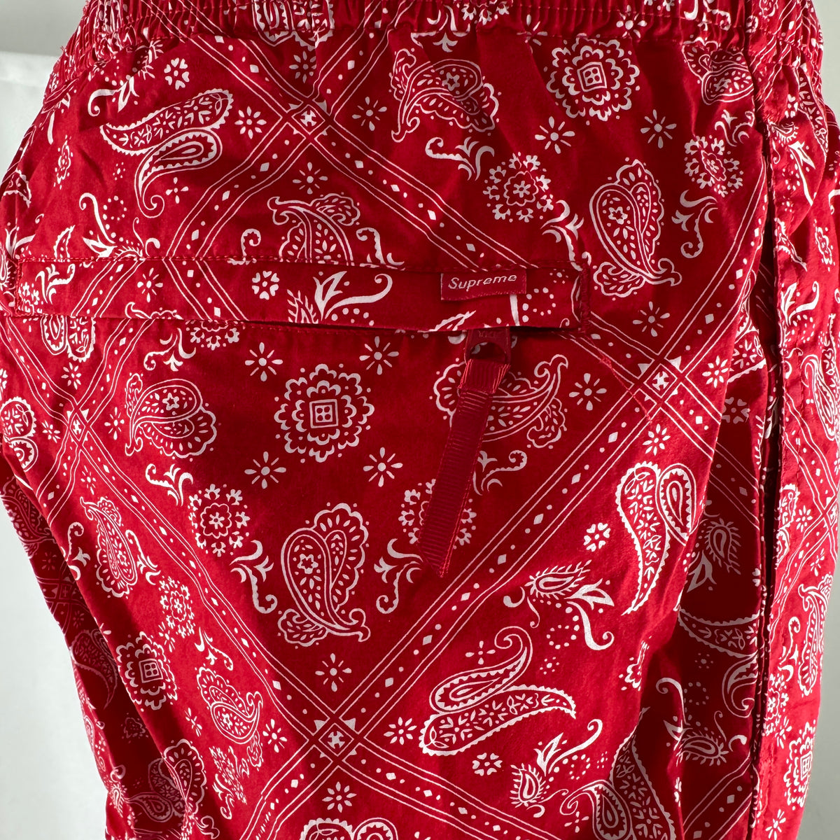 Supreme Bandana Cargo Pants