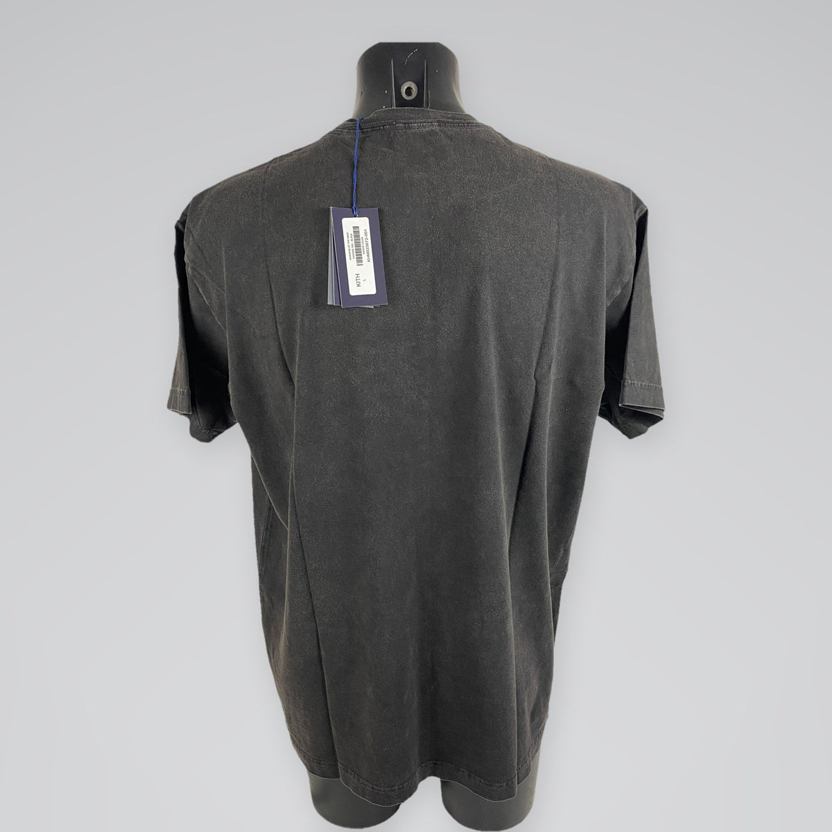 Kith Gardens of the Mind Vintage Tee Black